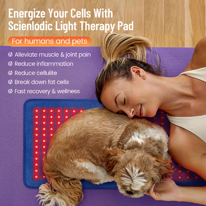 Premium Red & Infrared Therapy Belt for Body Pain Relief & Slimming – 660nm/850nm Large LED Heating Pad with 360 LEDs,  